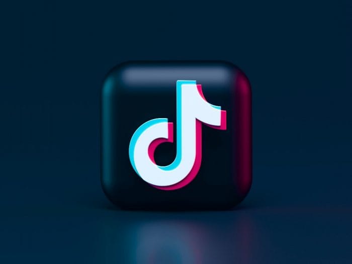 13 Brave Tiktok Logo 2