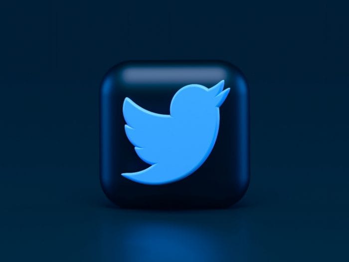 13 Brave Twitter Logo