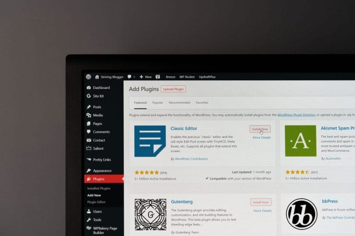 13 Brave WordPress